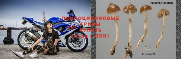 круглые Алексин