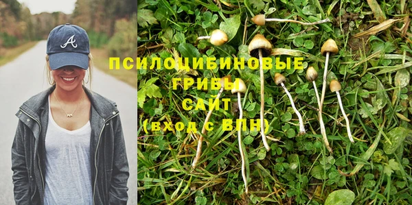 круглые Алексин