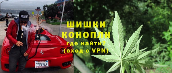хмурый Алзамай