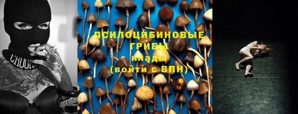 хмурый Алзамай