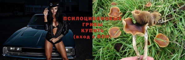 дмт Белая Холуница