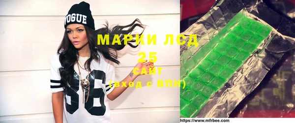 хмурый Алзамай