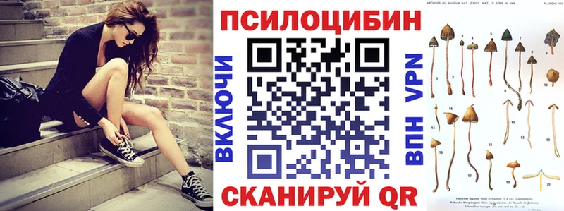 наркошоп  Любань  Псилоцибиновые грибы ЛСД 